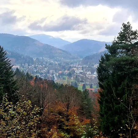 Schoene Im Schwarzwald Apartamento Bad Herrenalb